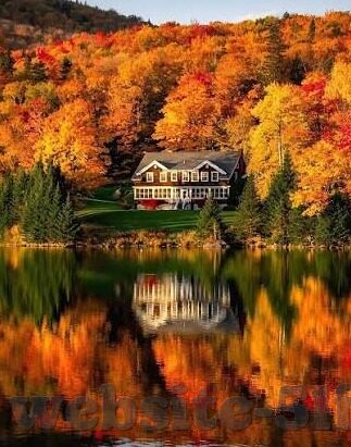 2018最新伦理片经典伦理片-2018最新伦理片与经典伦理片的深度对话，伦理边界的探索与反思