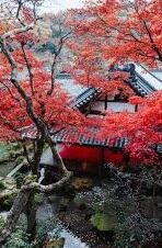 麻豆禁漫app-迈向健康观影的旅程，告别麻豆禁漫app