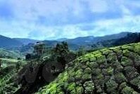 日韩av印度av意大利av-成人内容与文化多样性，全球视角下的AV产业探索