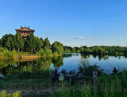 糖心vlog小桃up主-糖心Vlog，小桃UP主的创意旅程