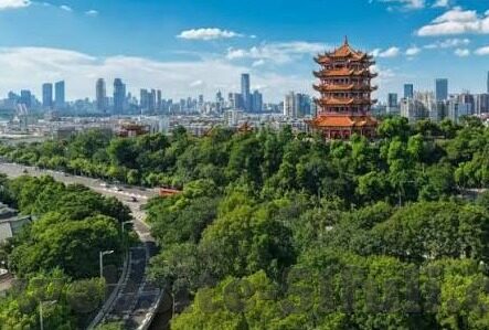 迅雷伦理片-迅雷与伦理边界，网络时代的道德考量